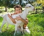 The Lamb of God (Romans 3:25)