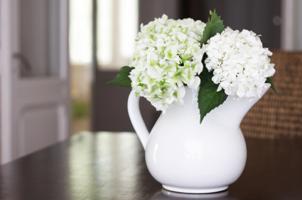 image - vase of flowers