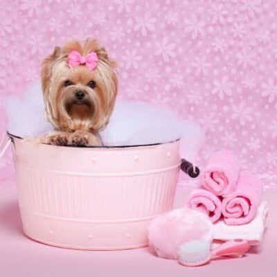 50+ Ideas for Taking Care of Mom! by Cindy Rushton