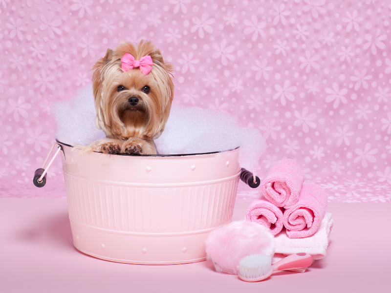 bubble bath puppy