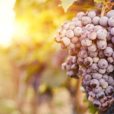 Another Great Hymn…