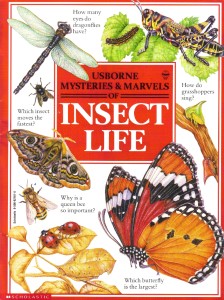 insect life