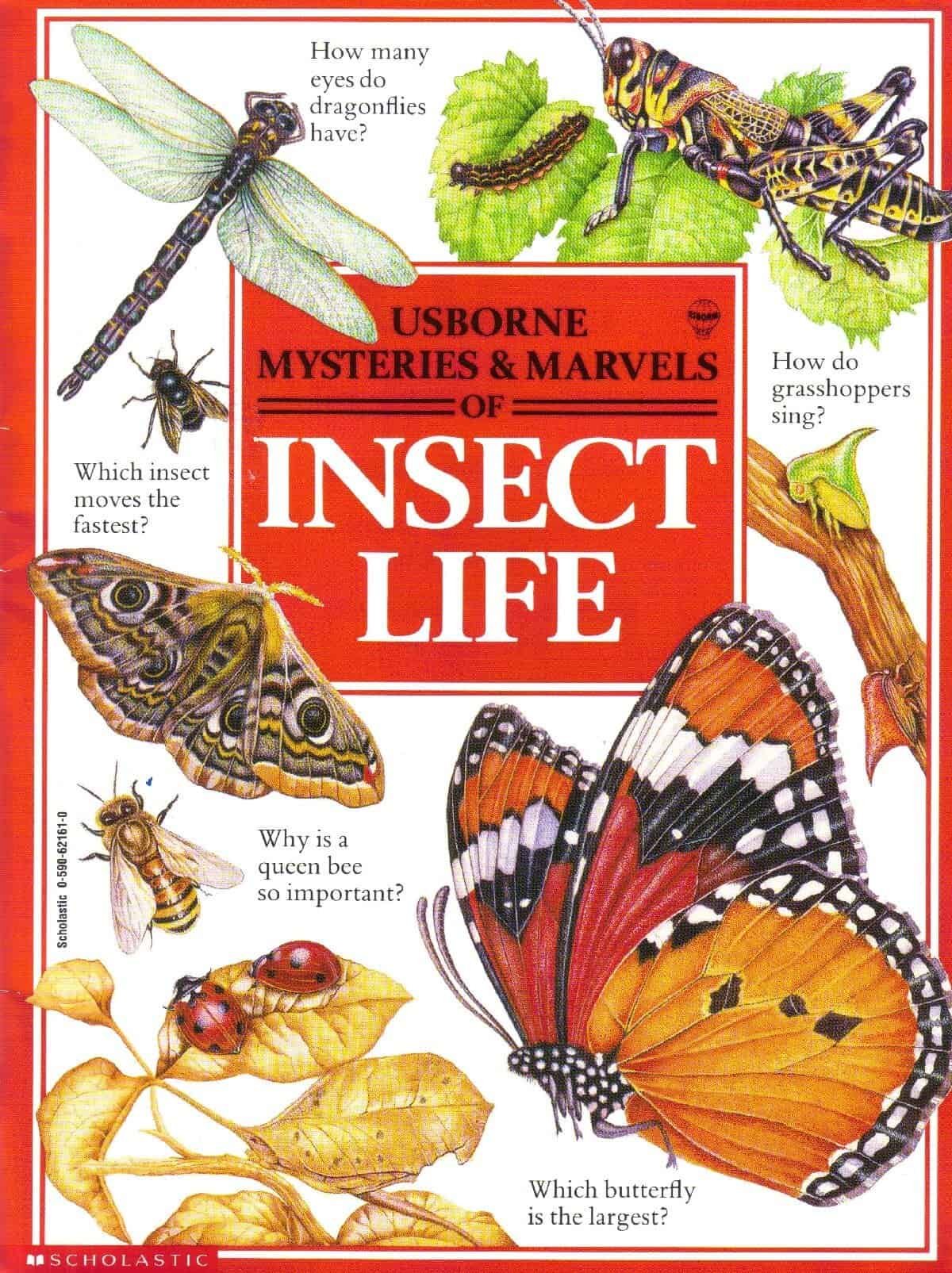 Homeschooling Science Books for Sale