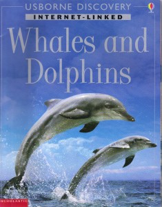whales and dolphins