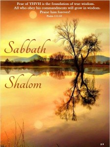 Sabbath Shalom