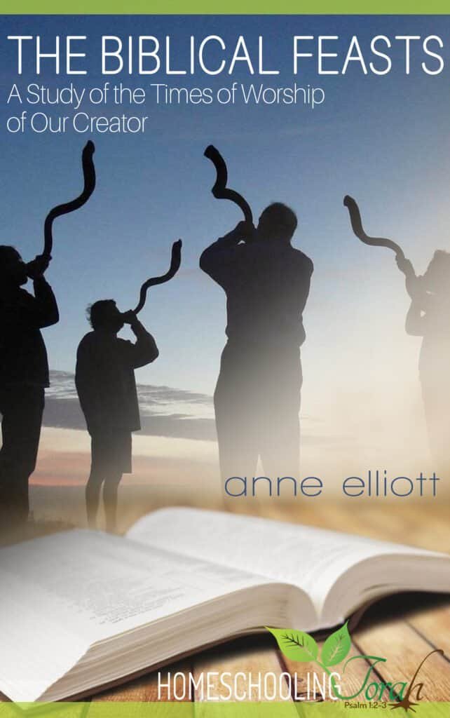 ebook-The-Biblical-Feasts-A-Study-of-the-Times-of-the-Worship-of-Our-Creator