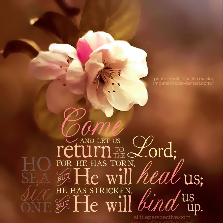 Come and let us return to YHVH; for He has torn, but He will heal us; He has stricken, but He will bind us up. Hosea 6:1