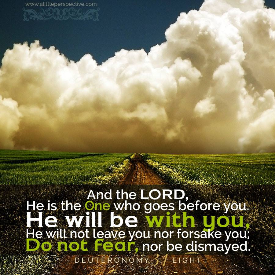 Deuteronomy 31:8 | Scripture Pictures | www.alittleperspective.com