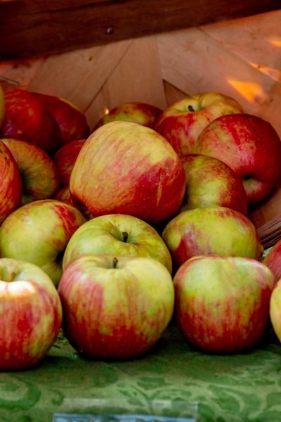 basket of apples