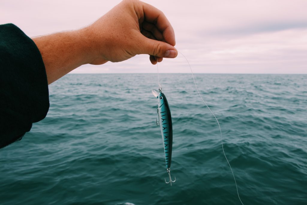 A fish has been caught at the end of a fishing line