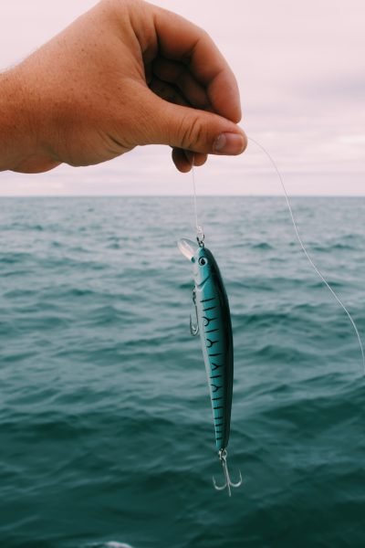 A fish has been caught at the end of a fishing line