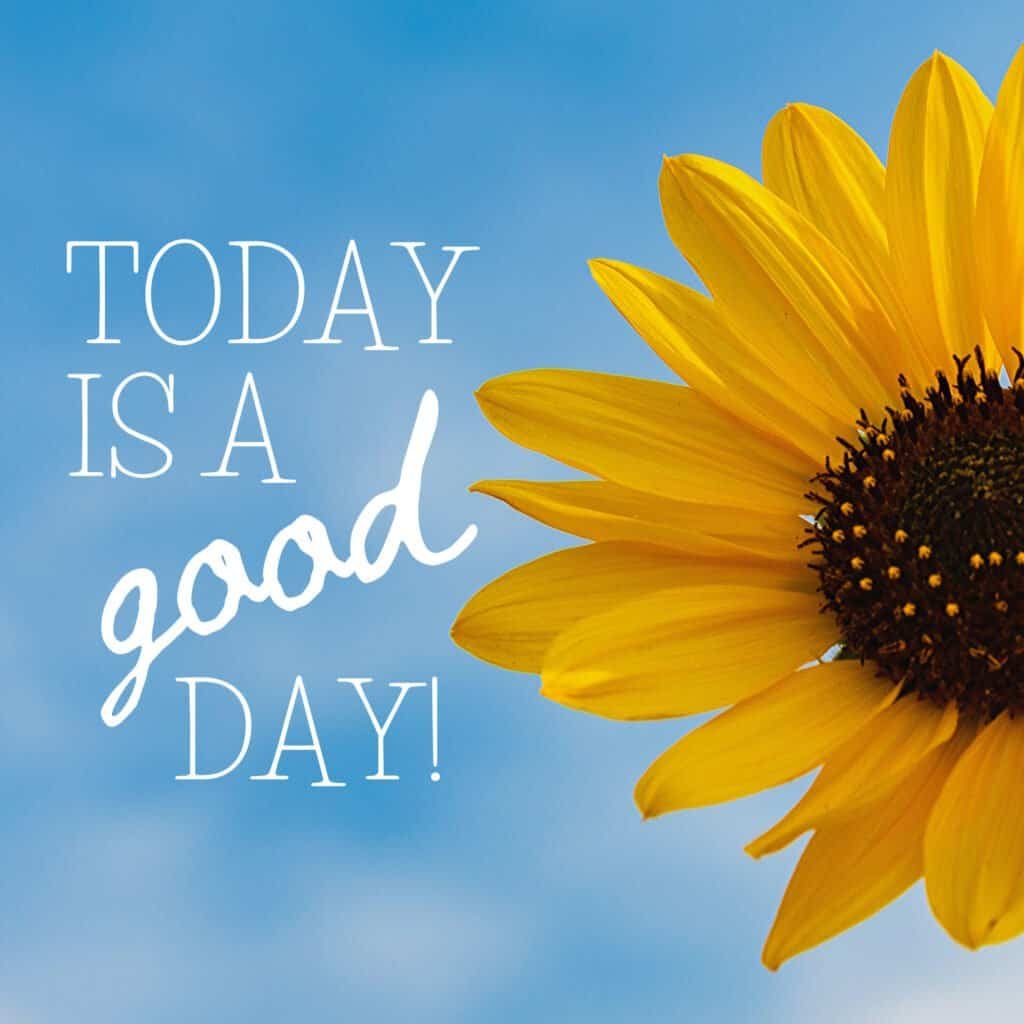 Today is a good day!