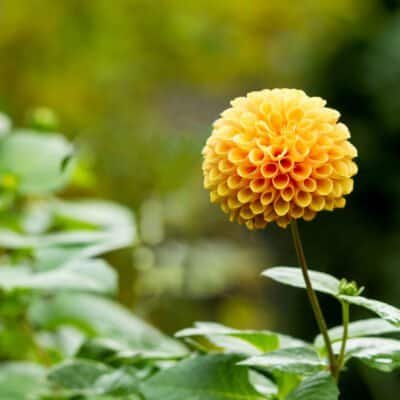 I’m Leaving Facebook and Twitter