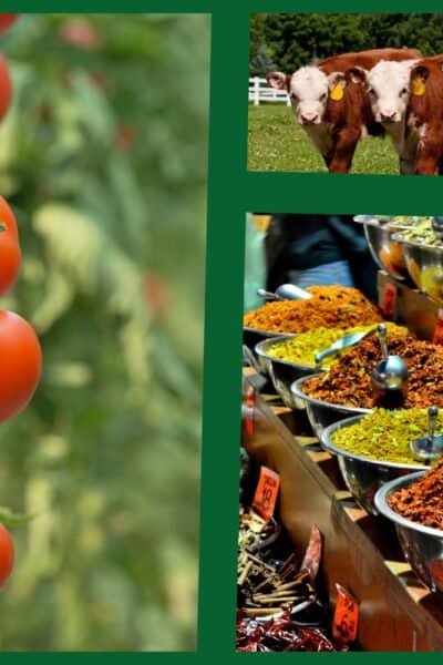 tithing in the Torah and New Testament